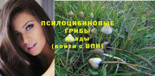 ПСИЛОЦИБИНОВЫЕ ГРИБЫ Балабаново