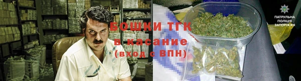 ПСИЛОЦИБИНОВЫЕ ГРИБЫ Балабаново