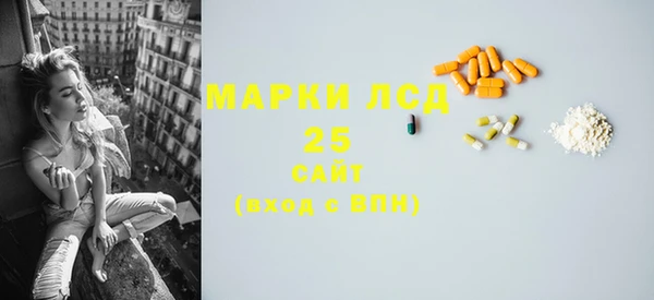 ПСИЛОЦИБИНОВЫЕ ГРИБЫ Балабаново