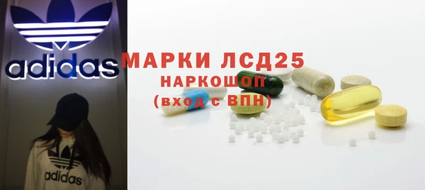 ПСИЛОЦИБИНОВЫЕ ГРИБЫ Балабаново