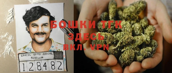 ПСИЛОЦИБИНОВЫЕ ГРИБЫ Баксан