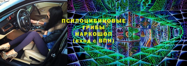 ПСИЛОЦИБИНОВЫЕ ГРИБЫ Баксан