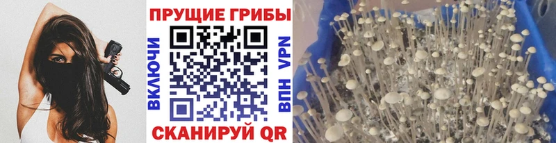 Галлюциногенные грибы MAGIC MUSHROOMS Крымск
